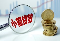 东莞35哪里可以小额贷款-东莞35哪里有民间借贷-东莞35民间短期私借借款
