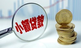 东莞35哪里可以小额贷款-东莞35哪里有民间借贷-东莞35民间短期私借借款
